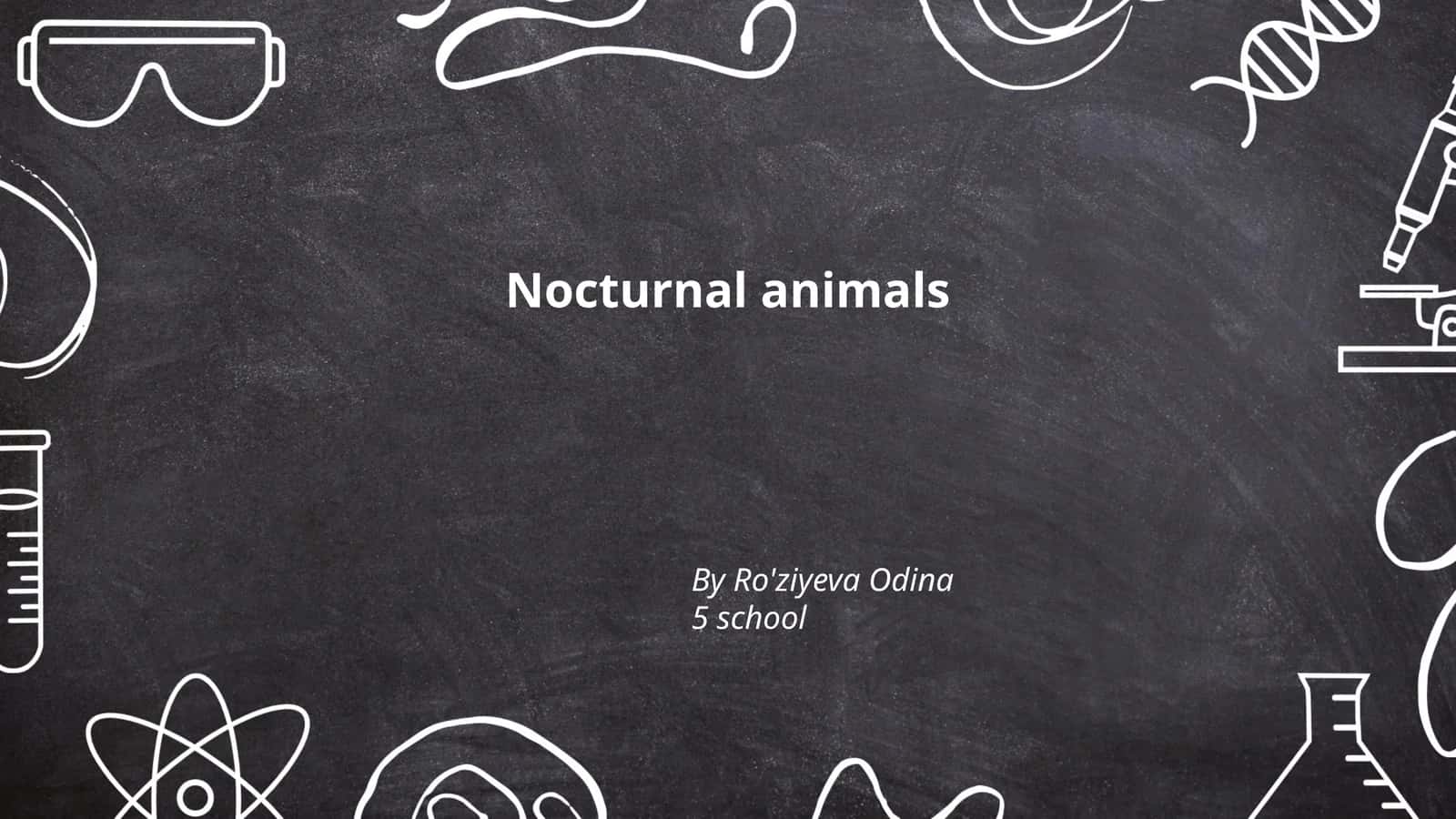 Nocturnal animals
