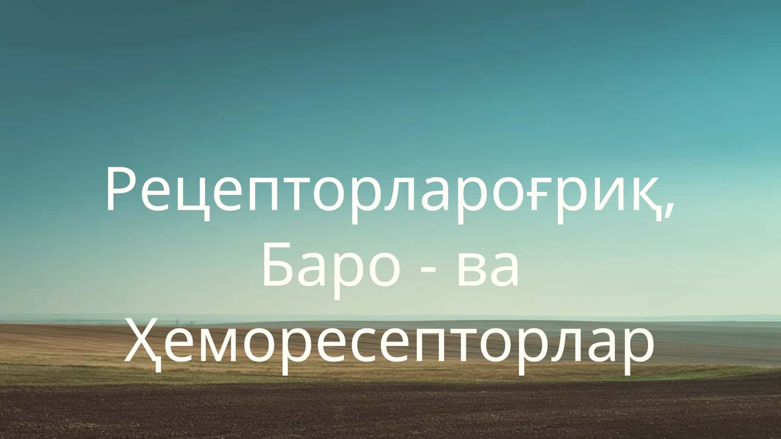 Рецепторлароғриқ, Баро - ва Ҳеморесепторлар