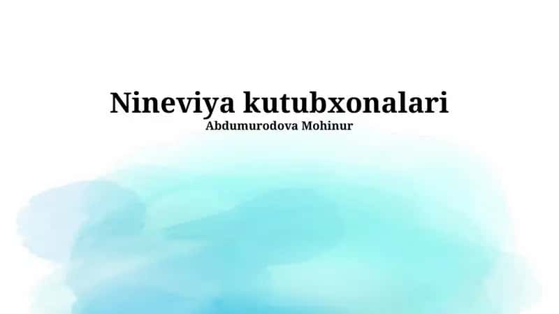 Nineviya kutubxonalari