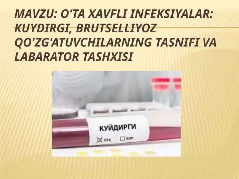 O‘ta xavfli infeksiyalar: kuydirgi, brutselliyoz qo'zg'atuvchilarning tasnifi va labarator tashxisi