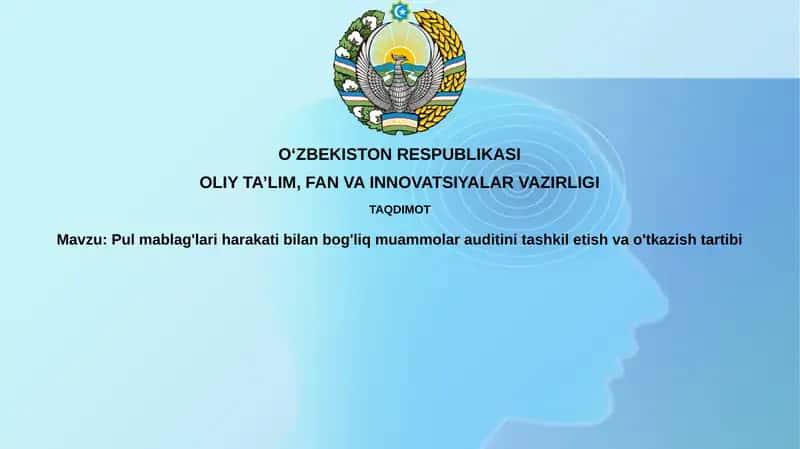 Auditning Maqsadlari va Doirasi