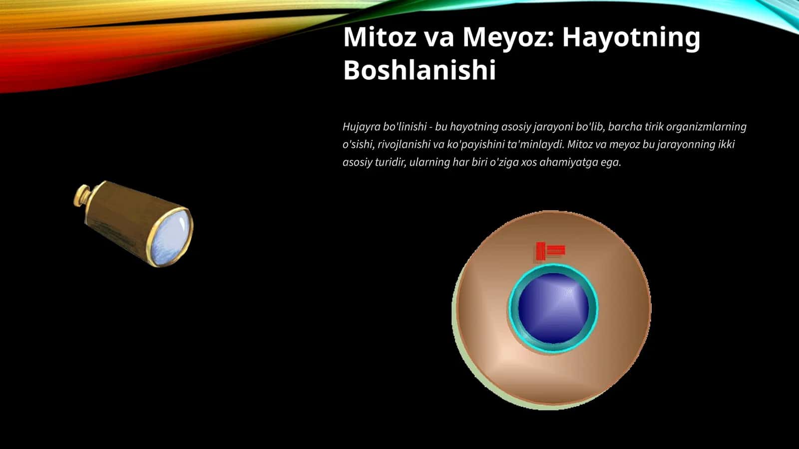 Mitoz va Meyoz: Hayotning Boshlanishi