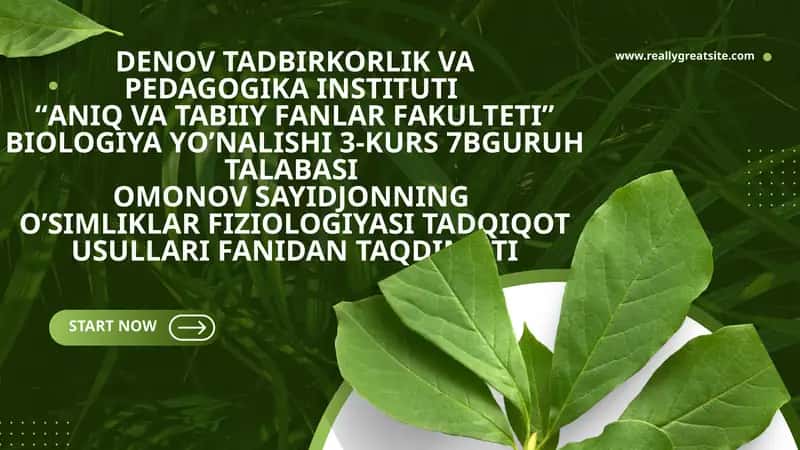 O’simlik hujayrasi energetikasi