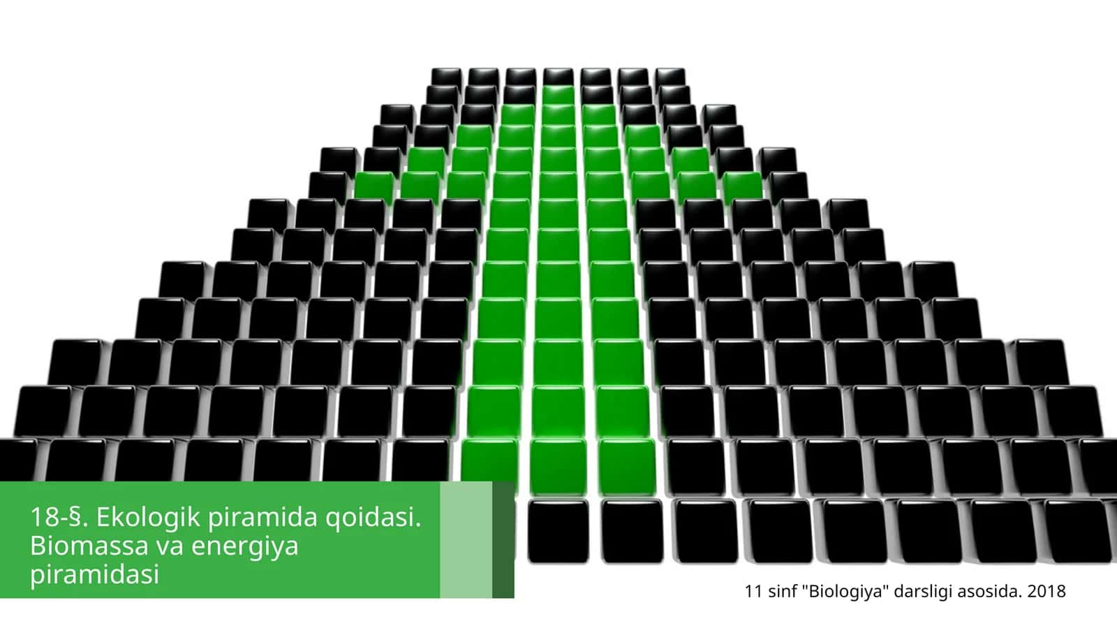 18-§.Ekologikpiramidaqoidasi.Biomassavaenergiyapiramidasi