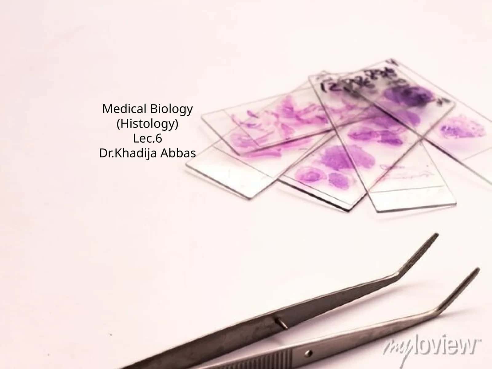 Medical Biology (Histology) Lec.6