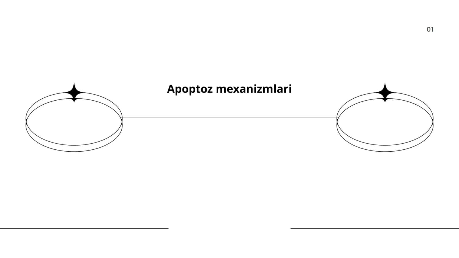 Apoptoz mexanizmlari