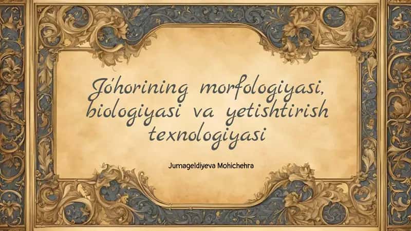 Jo'horining morfologiyasi, biologiyasi va yetishtirish texnologiyasi
