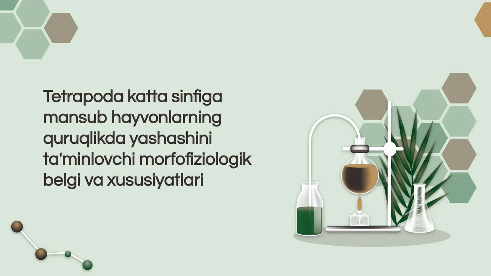Tetrapodalar va morfofiziologik xususiyatlari