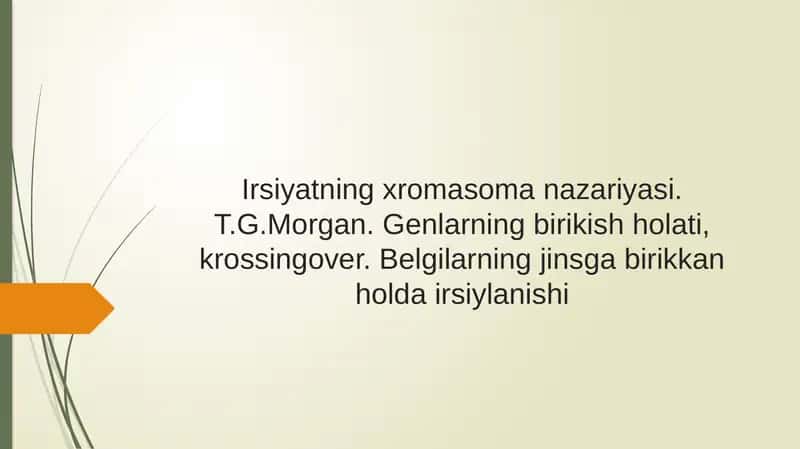 Irsiyatning xromasoma nazariyasi