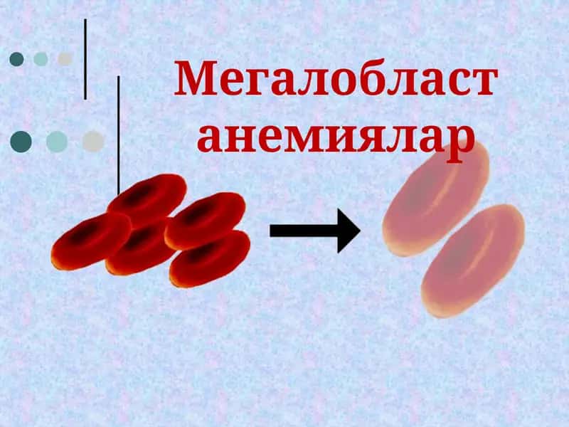Мегалобласт анемиялар
