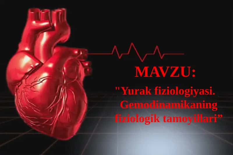 Yurak fiziologiyasi