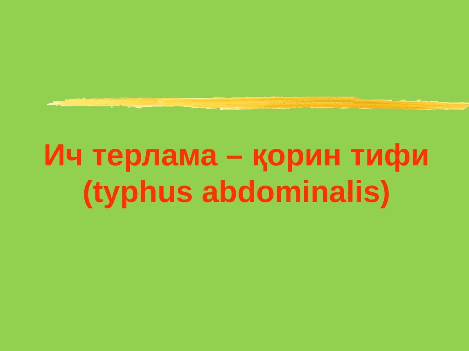 Ичтерлама–қорин тифи (typhus abdominalis)