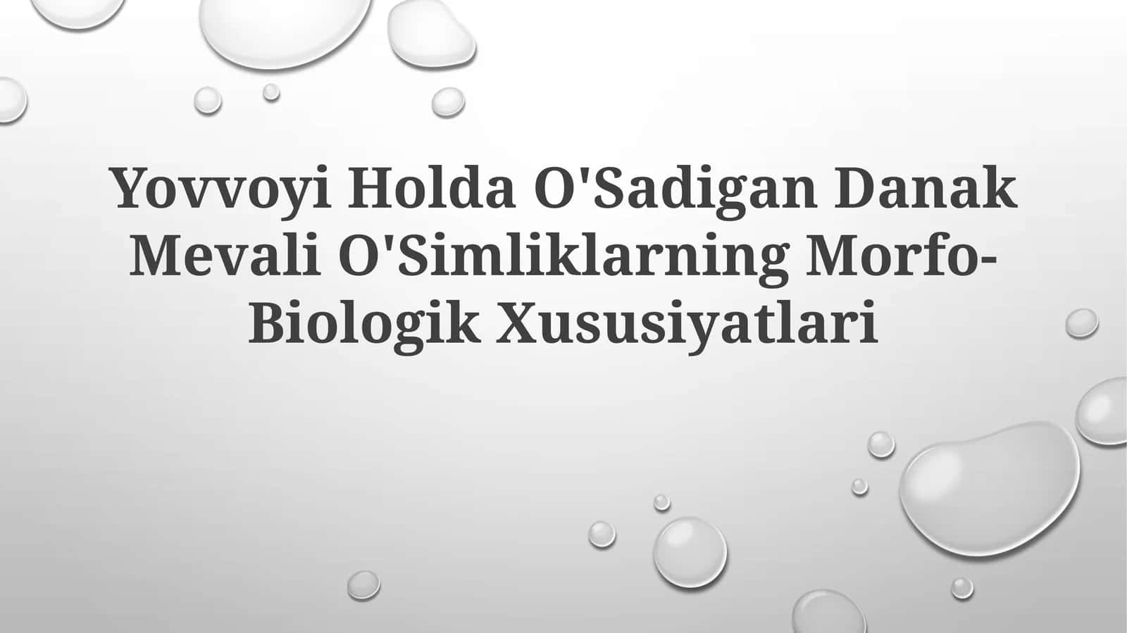 Yovvoyi Holda O'Sadigan Danak Mevali O'SimliklarningMorfo-BiologikXususiyatlari