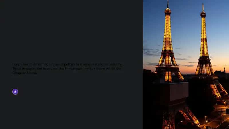 France's Economic Policies