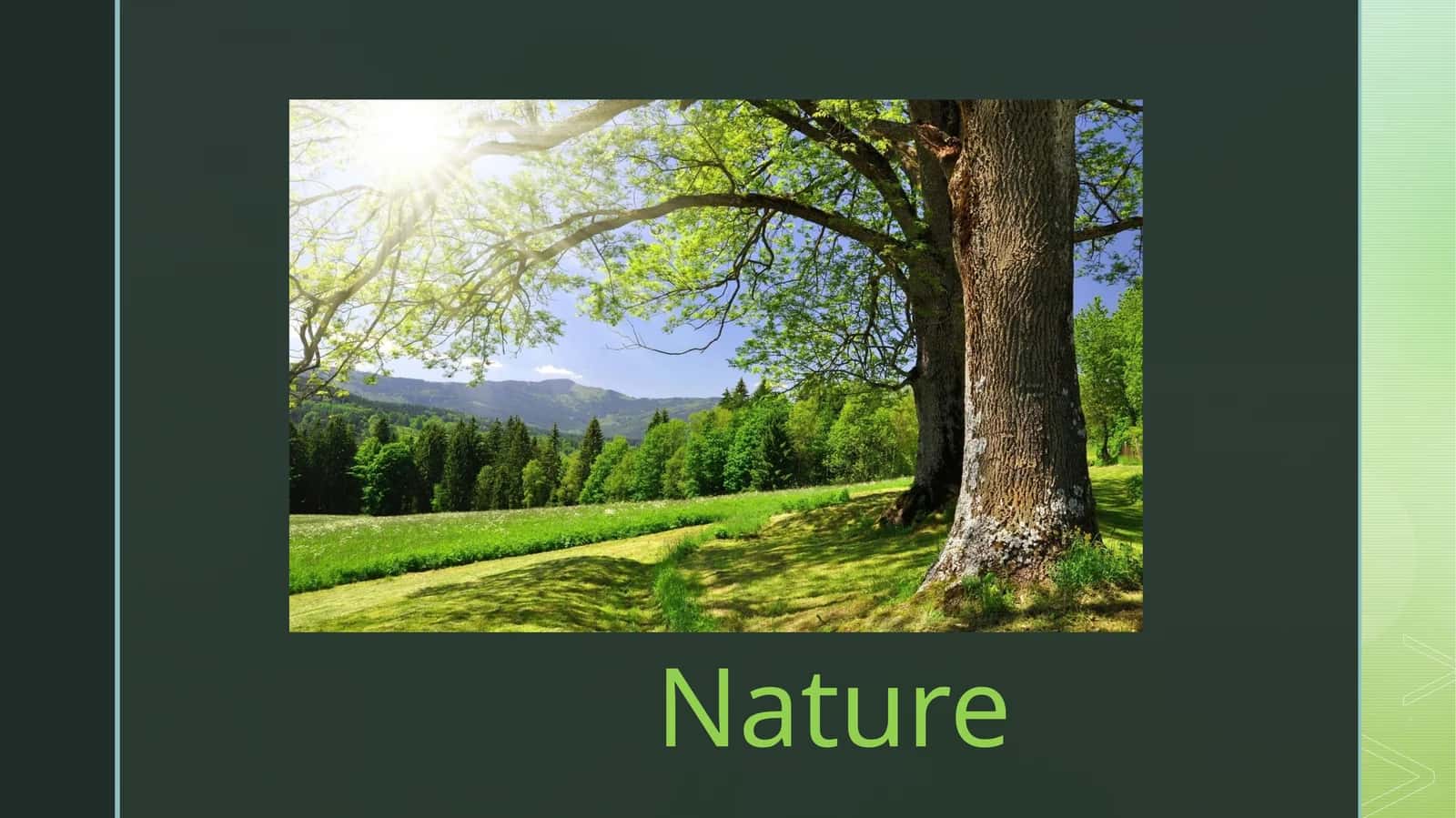Tabiat / nature