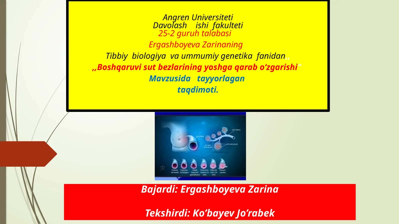 Tibbiy biologiya va umumiy genetika fanidan sut bezlarining yoshga qaraboʻzgarishi