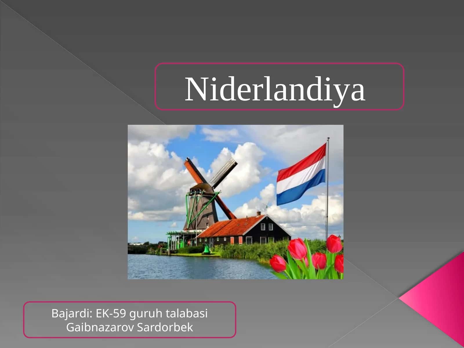 Niderlandiya