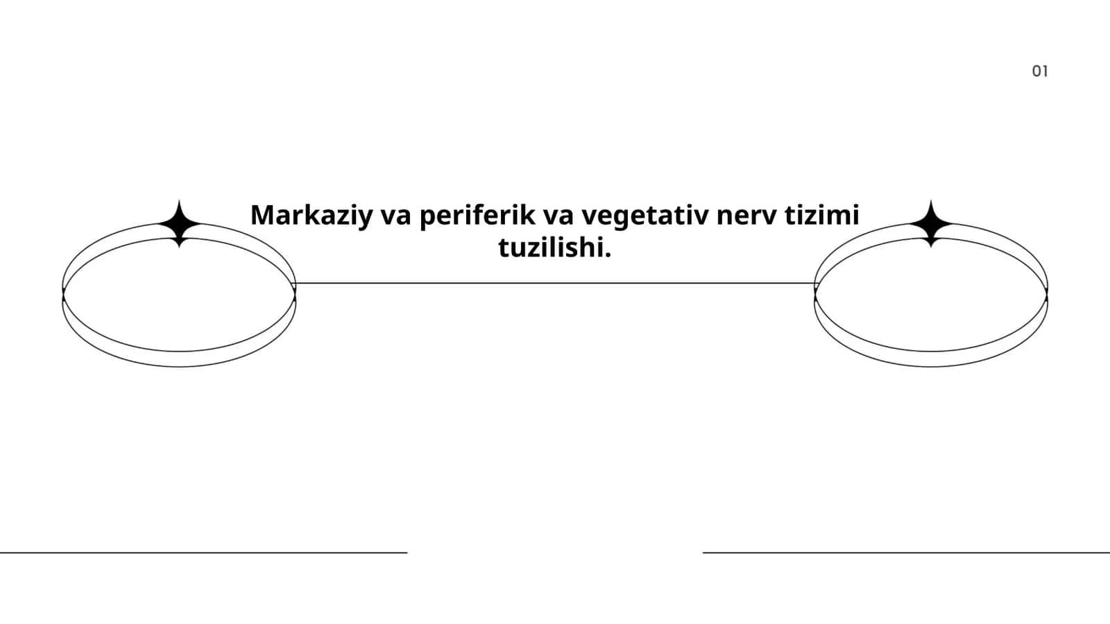 Markaziy va periferik va vegetativ nerv tizimi tuzilishi