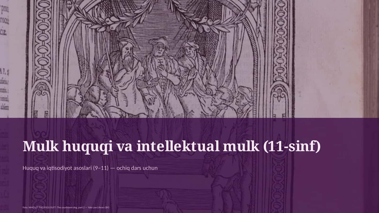 Mulk huquqi va intellektual mulk (11-sinf)