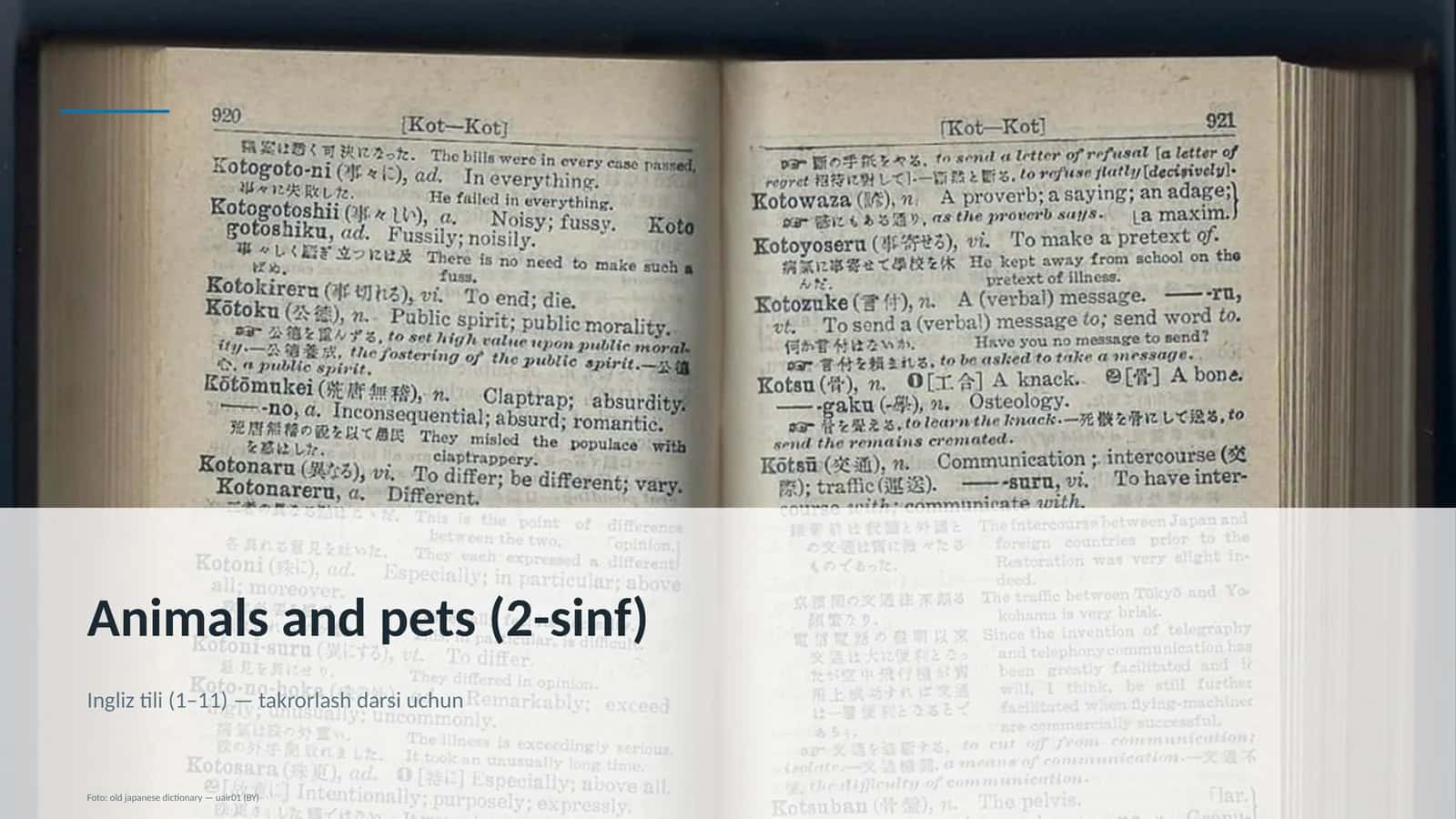 Animals and pets (2-sinf)
