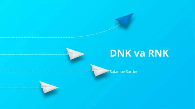 DNK va RNK