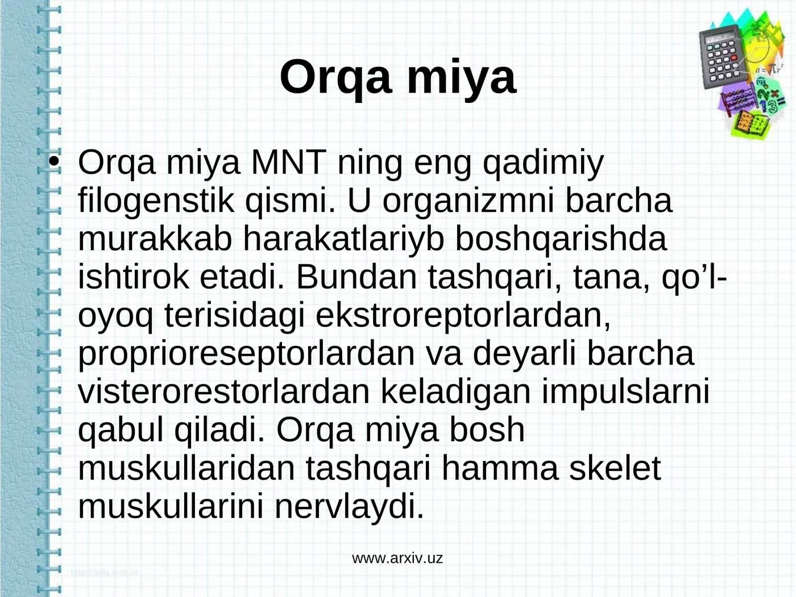 Orqa miya