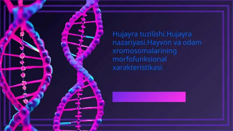 Hujayra tuzilishi.Hujayra nazariyasi.Hayvon va odam xromosomalarining morfofunksional xarakteristikasi.