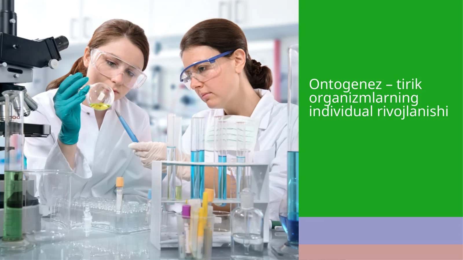 Ontogenez–tirikorganizmlarning individual rivojlanishi