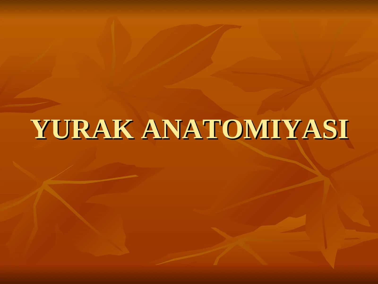 YURAK ANATOMIYASI