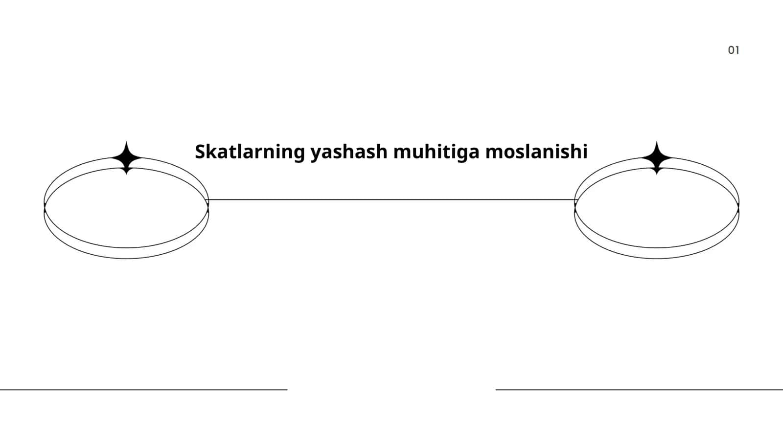Skatlarning yashash muhitiga moslanishi