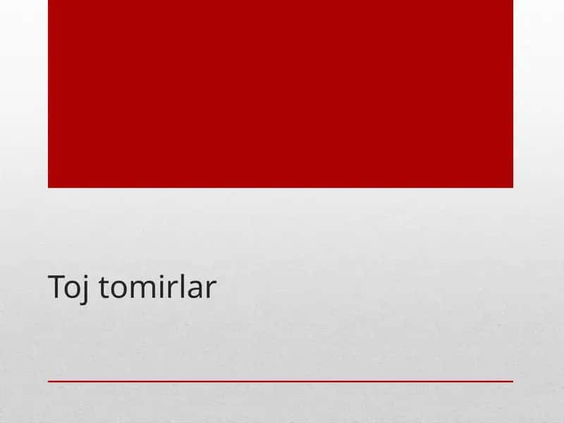 Yurak va yirik qon tomirlari tekshirishi