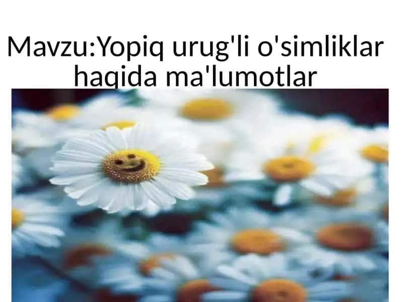 Yopiq urug'li o'simliklar haqida ma'lumotlar