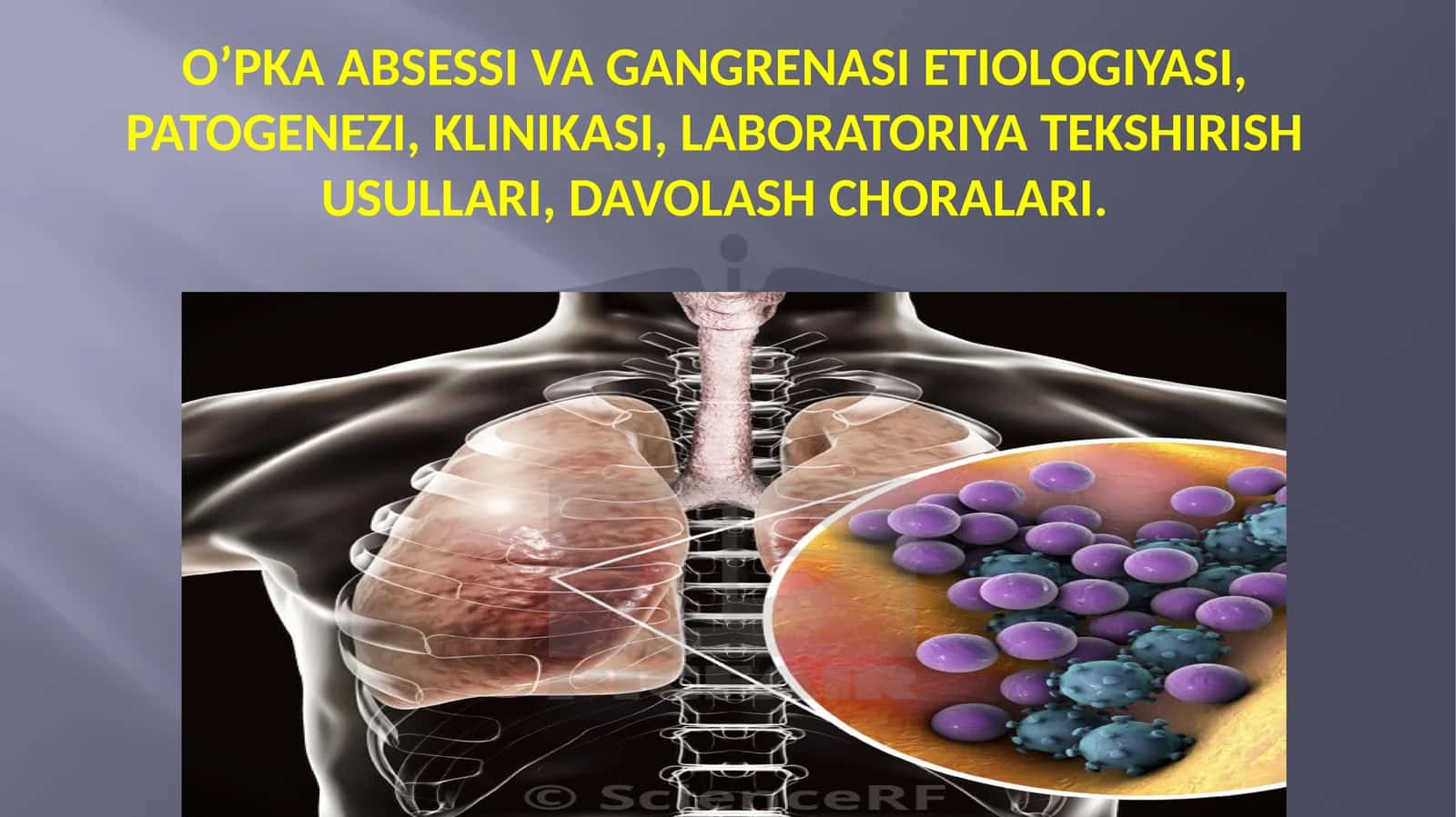 O’PKA ABSESSI VA GANGRENASI ETIOLOGIYASI, PATOGENEZI, KLINIKASI, LABORATORIYA TEKSHIRISH USULLARI, DAVOLASHCHORALARI