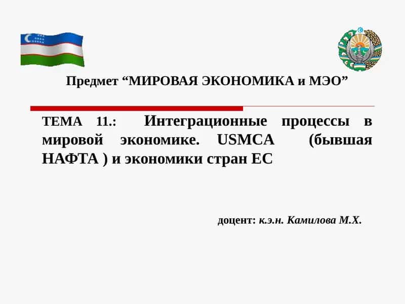 Интеграционные процессы в мировой экономике.USMCA(бывшая НАФТА ) и экономики стран ЕС