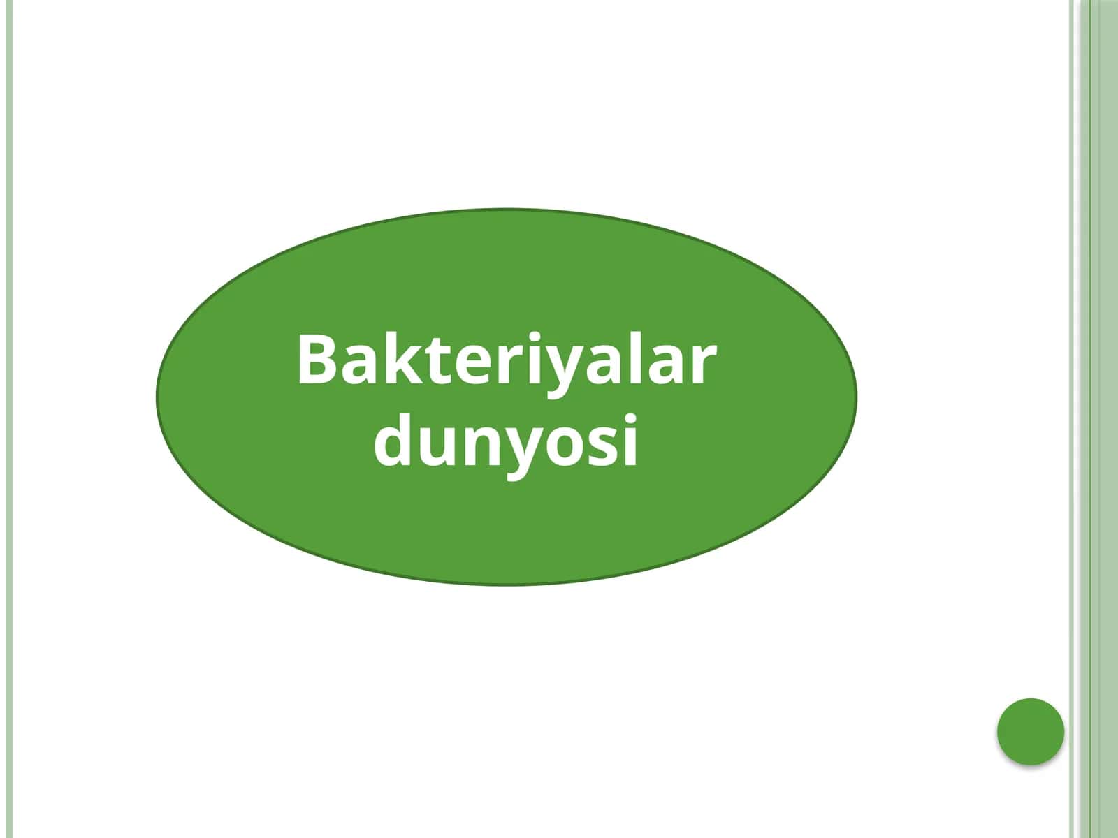 Bakteriyalardunyosi