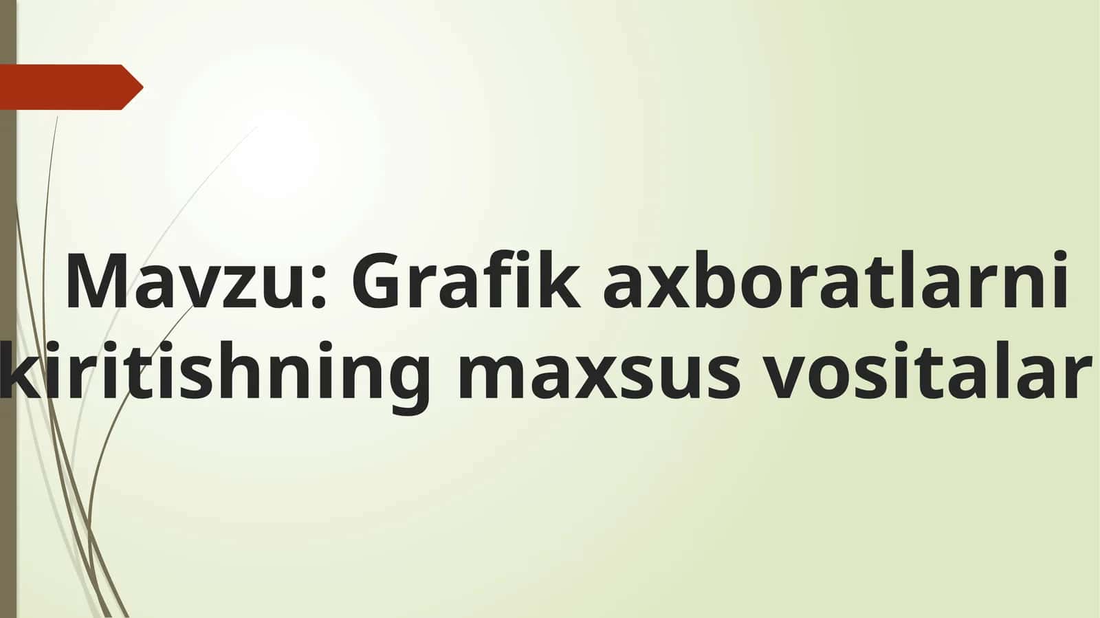 Grafik axborotlarni kiritishning maxsus vositalari