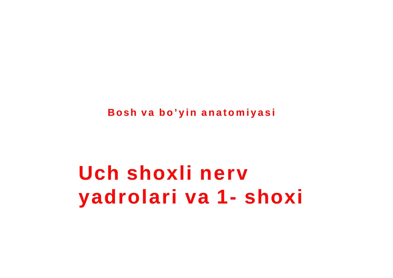 Uch shoxli nerv yadrolari va 1- shoxi, N. ophtalmicus