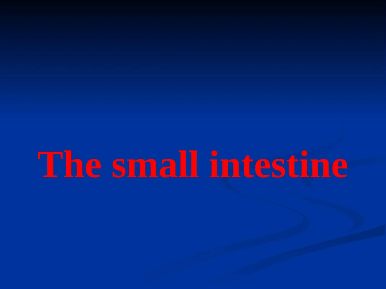 The small intestine