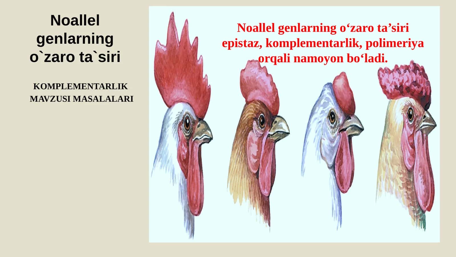 Komplementar ta`sirga oid masalalar