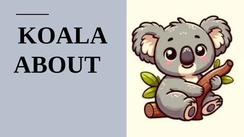 Koala about