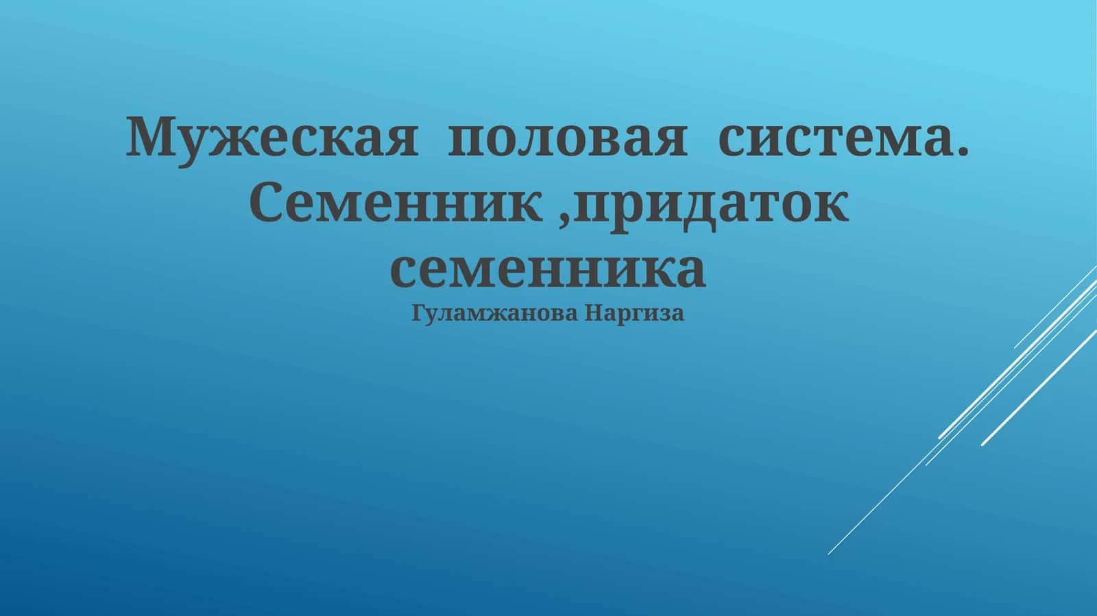 Мужеская половая система. Семенник,придаток семенника