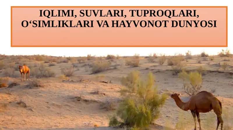 O‘simliklari va hayvonot dunyosi