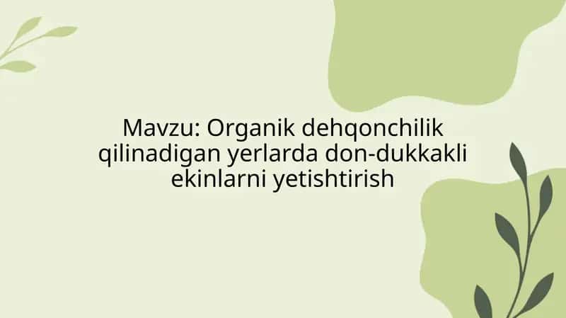 Organik dehqonchilik qilinadigan yerlarda don-dukkakli ekinlarni yetishtirish