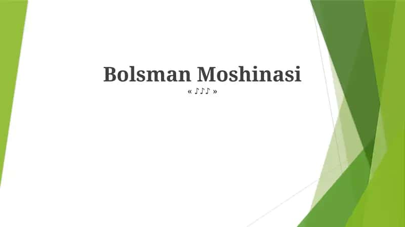 Bolsman Moshinasi