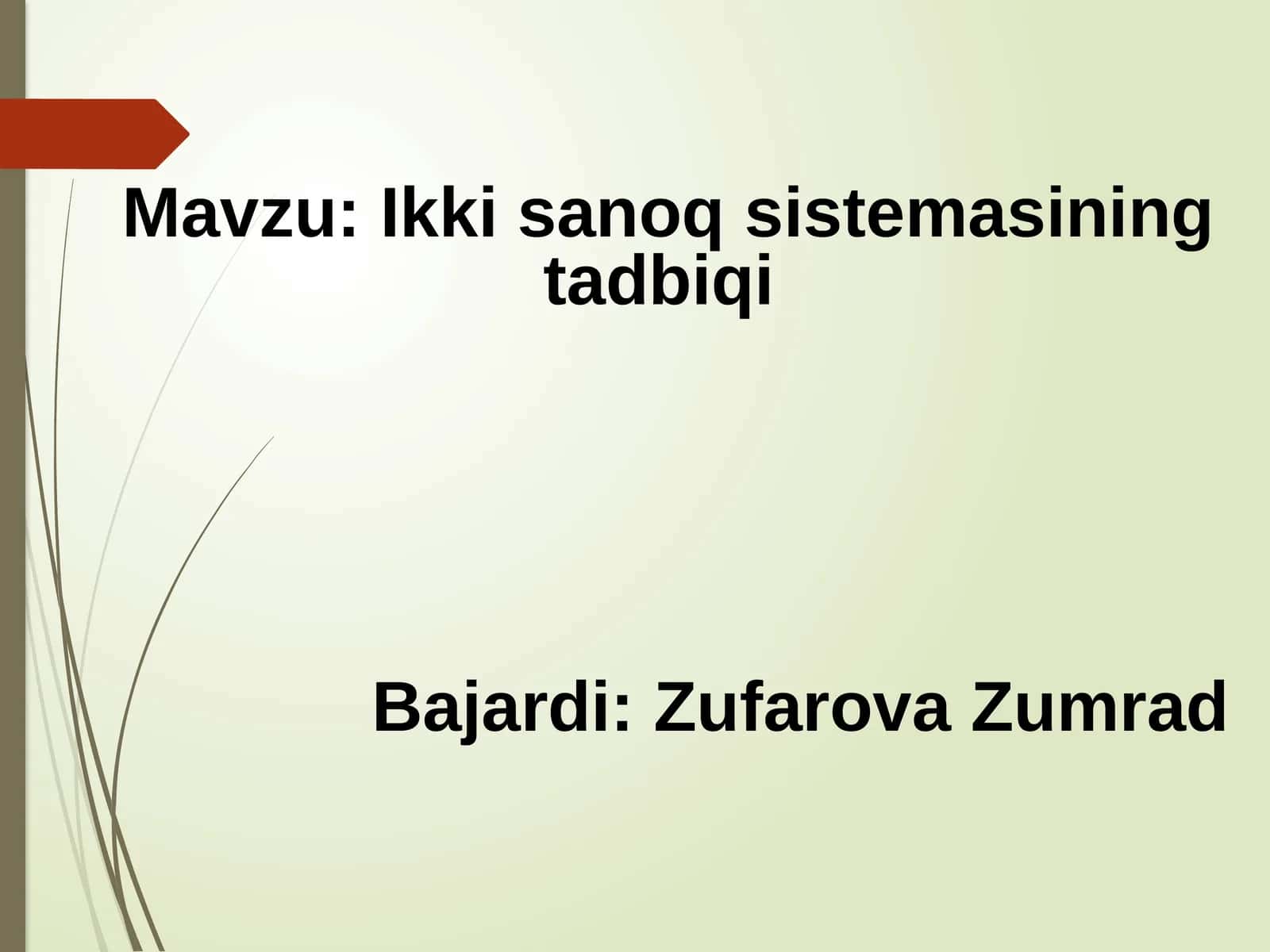 Ikki sanoq sistemasining tadbiqi