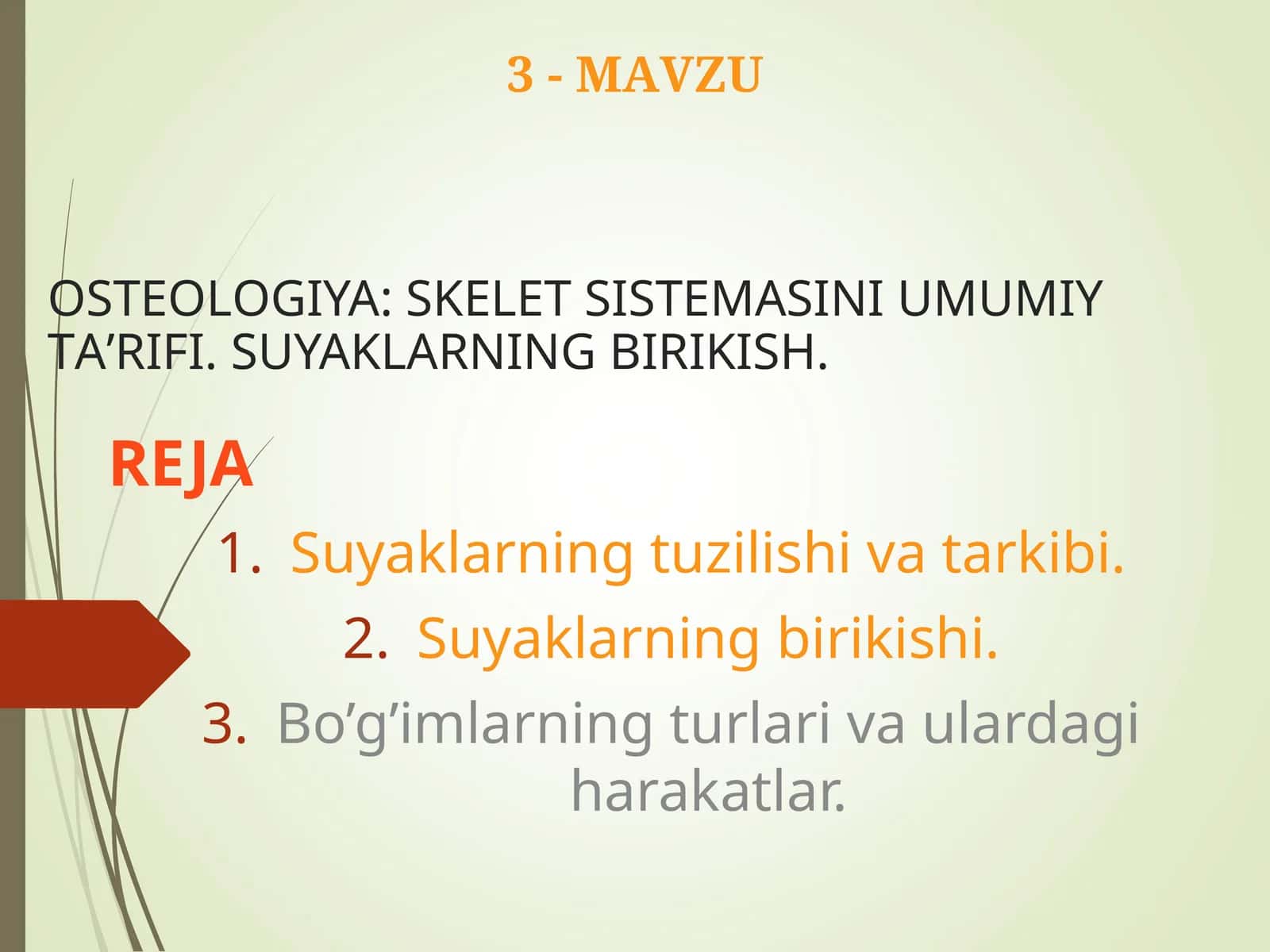 Osteologiya: skelet sistemasining umumiy ta'rifi, suyaklarning tuzilishi, tarkibi va suyaklar birikishi.