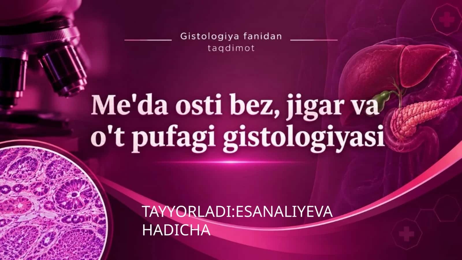 Me'da osti bez: taraqqiyoti va tuzilishi