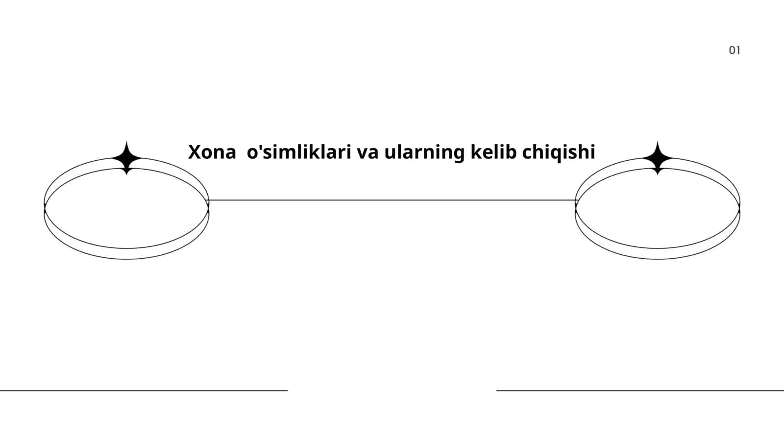 Xona o'simliklari va ularning kelib chiqishi