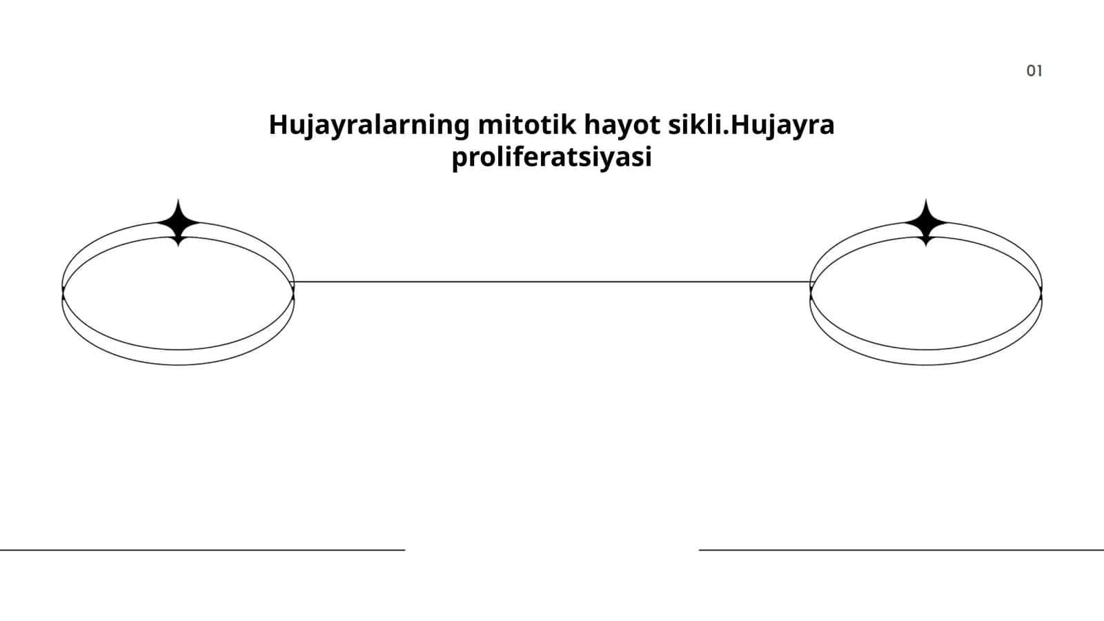Hujayralarning mitotik hayot sikli.Hujayra proliferatsiyasi