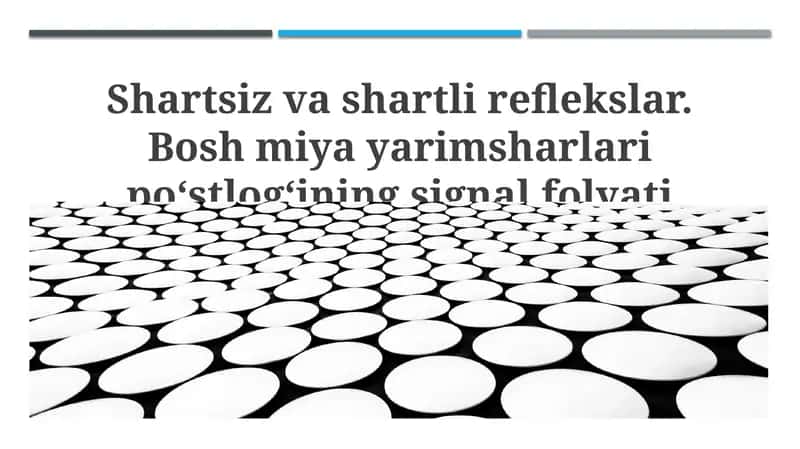 Shartsiz va shartli reflekslar